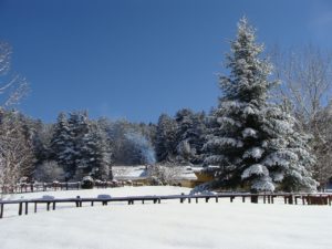 pneumatici-invernali-calabria