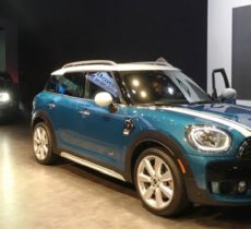 countryman-se