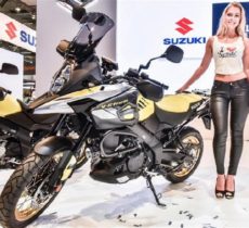 suzuki-v-storm